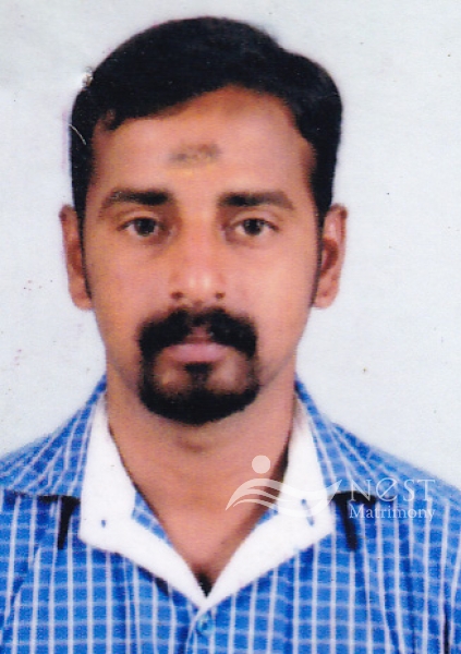 VIVEK V K